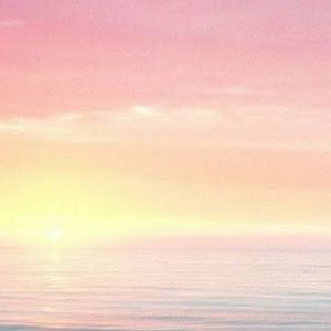 Meet your Posher, Karissa